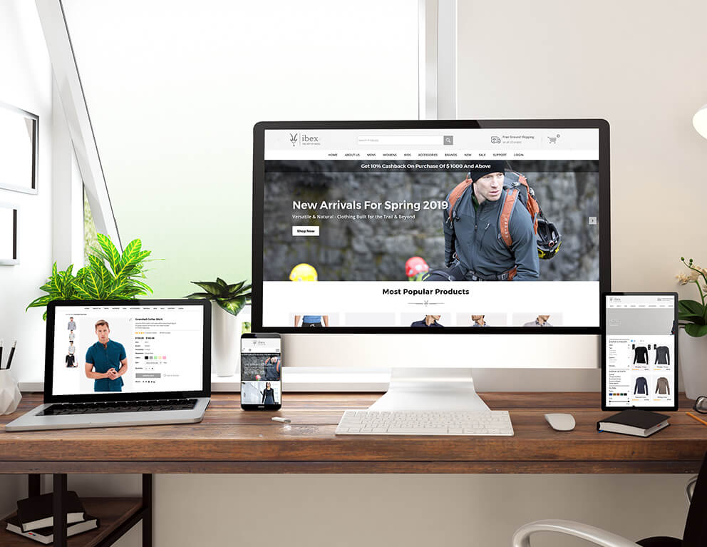 responsive web development services