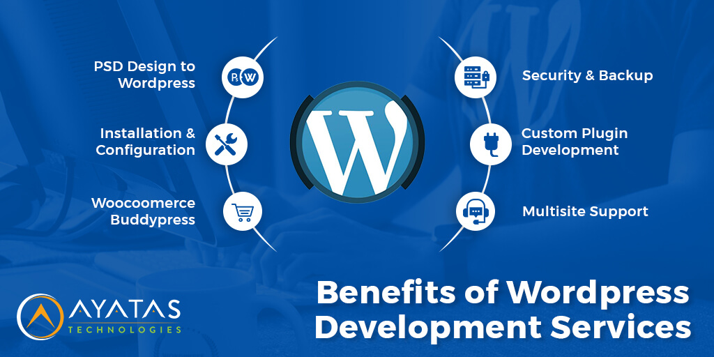 Wordpress Plugin Development Services