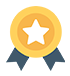 99% Certified & Expert Programmers
