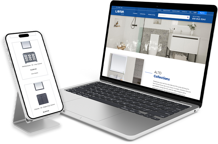 laviva Project Overview