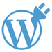 WordPress Plugin Development