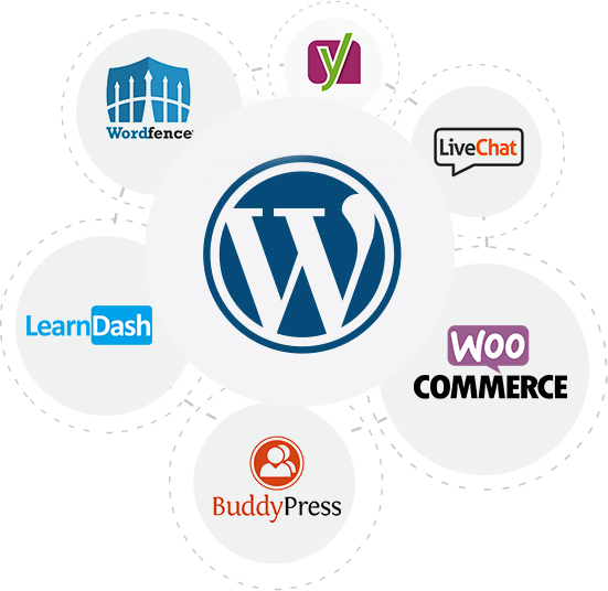 Best WordPress Developer Los Angeles, CA