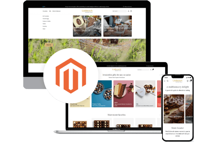 Hire Magento Developers