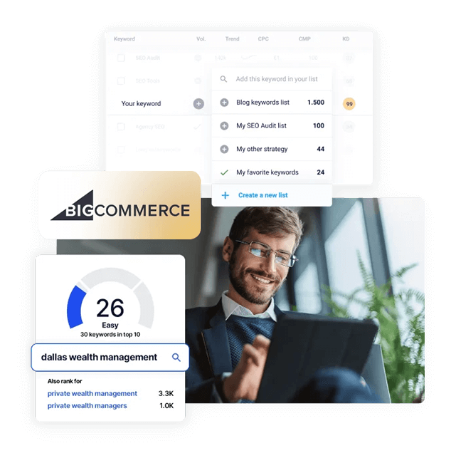 BigCommerce Search Engine Optimization Services