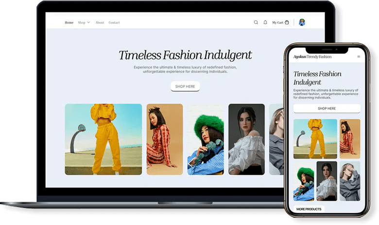 Professional eCommerce Development